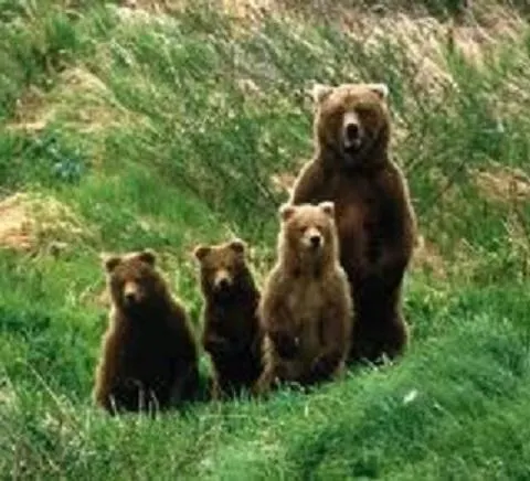 Nyaraló House Graziella Castiglione a Casauria
